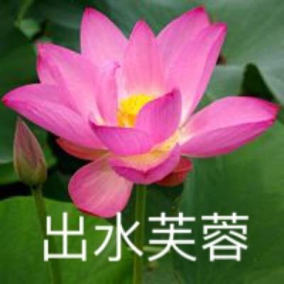 最高等级传说最新版下载